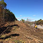 Southbound Tree clearing under way - 10/16